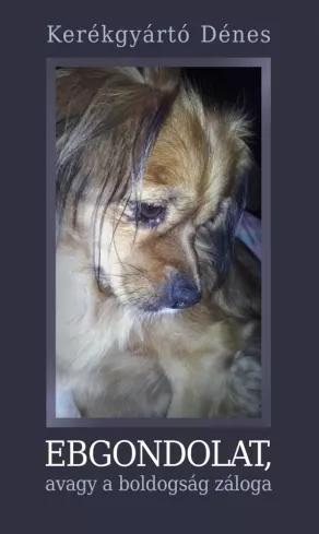 Ebgondolat, avagy a boldogság záloga (e-könyv)