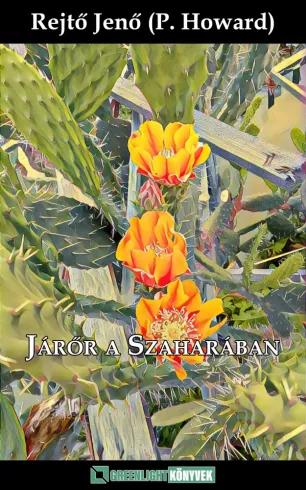 Járőr a Szaharában (e-könyv)