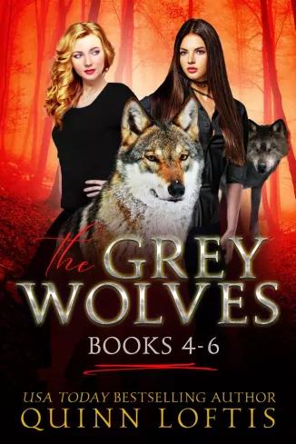 The Grey Wolves Series Books 4-6 (e-könyv)