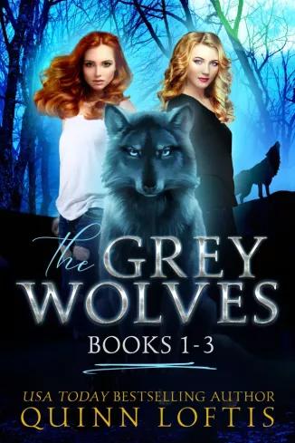 The Grey Wolves Series Collection Books 1-3 (e-könyv)