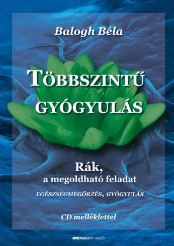 Többszintű gyógyulás (e-könyv)