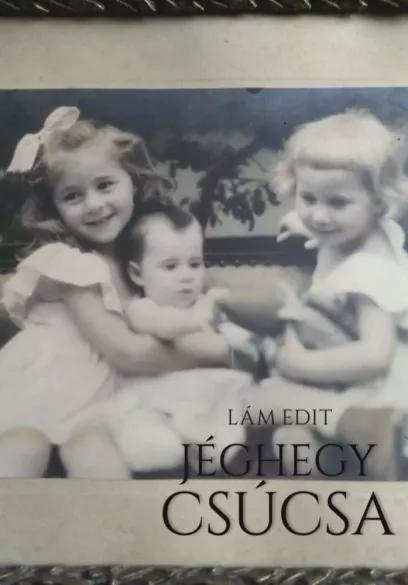 A jéghegy csúcsa (e-könyv)