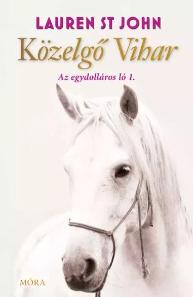 Közelgő vihar (e-könyv)