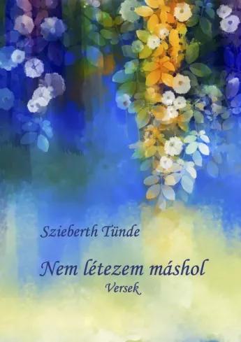 Nem létezem máshol (e-könyv)