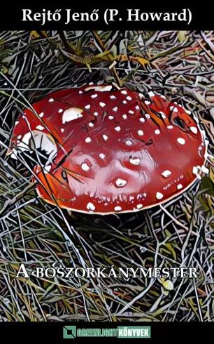 A boszorkánymester (e-könyv)