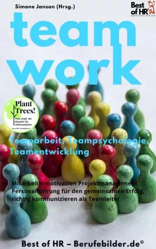 Teamwork Teamarbeit Teampsychologie Teamentwicklung (e-könyv)