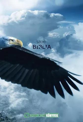 A Szent Biblia (e-könyv)
