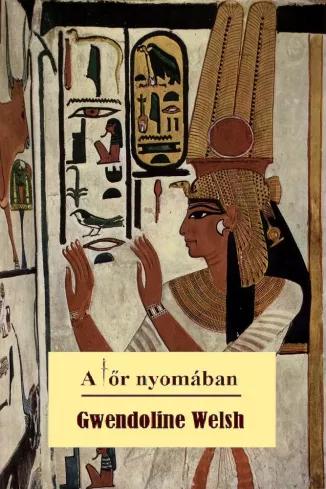 A tőr nyomában (e-könyv)