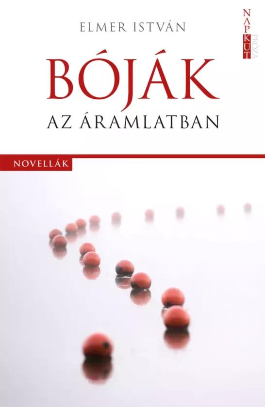 Bóják az áramlatban (e-könyv)