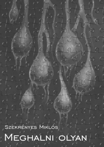 Meghalni olyan / Élni olyan (e-könyv)