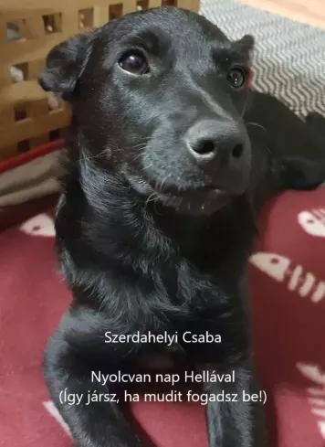 Nyolcvan nap Hellával (e-könyv)
