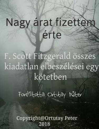 Nagy árat fizettem érte (e-könyv)