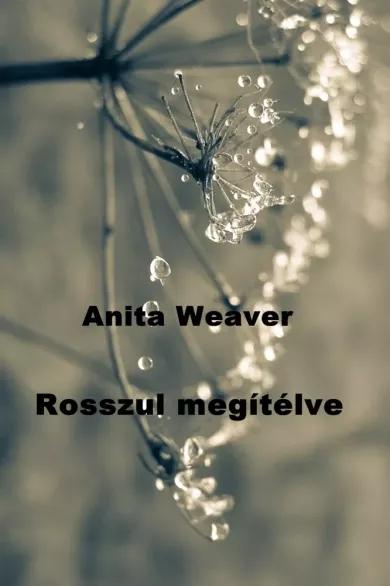 Rosszul megítélve (e-könyv)