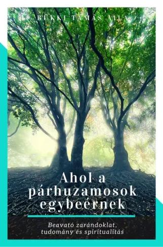 Ahol a párhuzamosok egybeérnek (e-könyv)