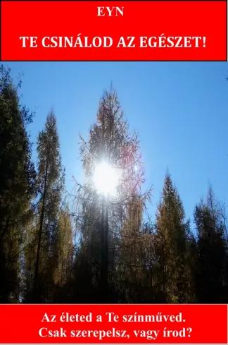 Te csinálod az egészet! (e-könyv)