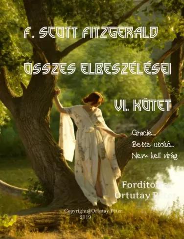F. Scott Fitzgerald összes elbeszélései - VI. kötet (e-könyv)