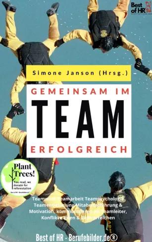 Gemeinsam im Team erfolgreich (e-könyv)