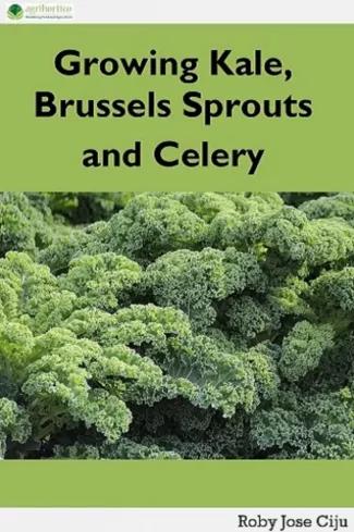 Growing Kale Leaves, Brussels Sprouts and Celery (e-könyv)