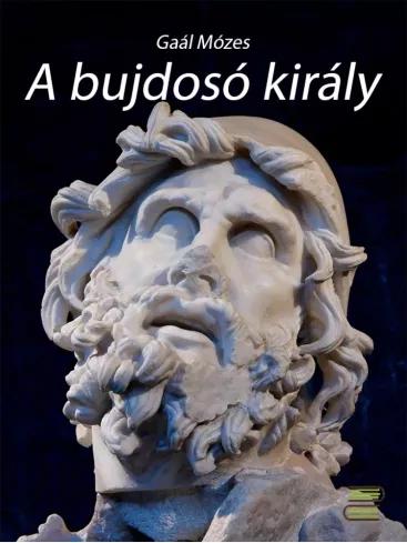 A bujdosó király (e-könyv)