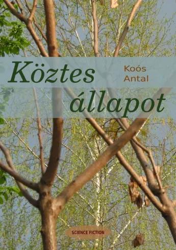 Köztes állapot (e-könyv)