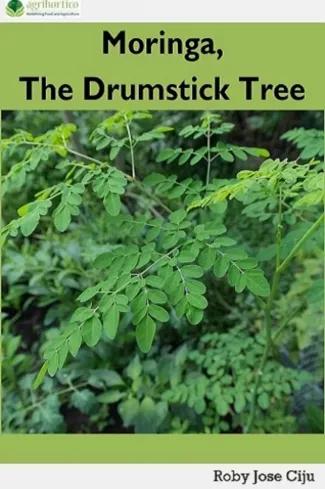 Moringa, the Drumstick Tree (e-könyv)