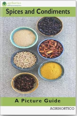 Spices and Condiments (e-könyv)