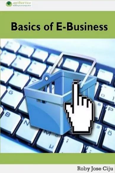 Basics of E-Business (e-könyv)