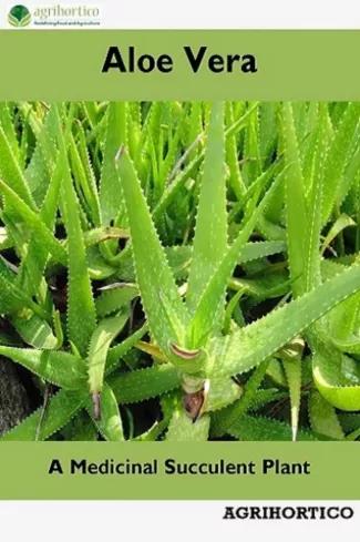 Aloe Vera (e-könyv)