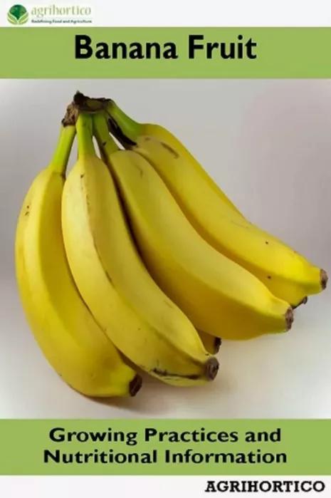 Banana Fruit (e-könyv)