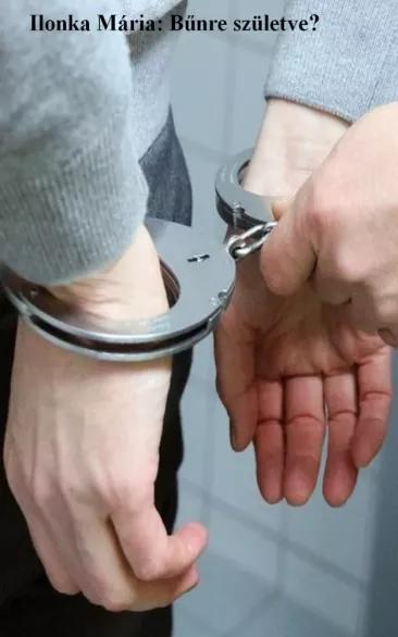 Bűnre születve (e-könyv)