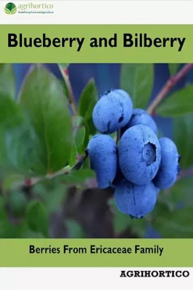 Blueberry and Bilberry (e-könyv)