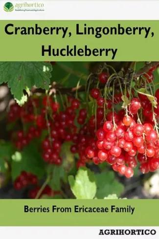Cranberry, Lingonberry, Huckleberry (e-könyv)