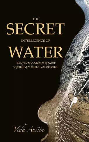 The Secret Intelligence of Water (e-könyv)