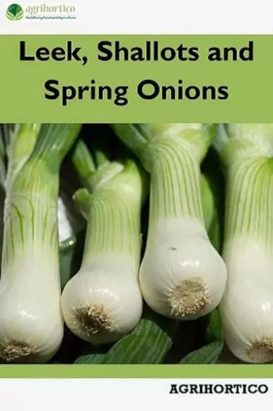 Leek, Shallots and Spring Onions (e-könyv)