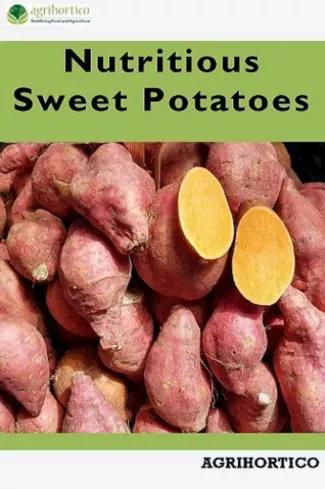 Nutritious Sweet Potatoes (e-könyv)