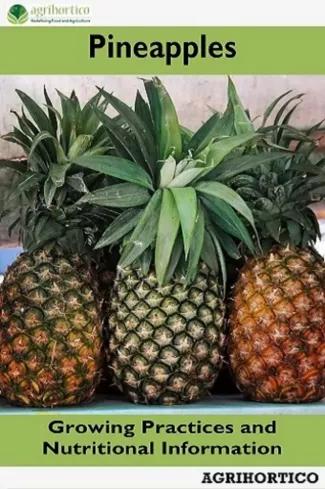 Pineapple (e-könyv)