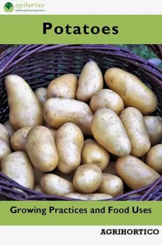 Potatoes (e-könyv)