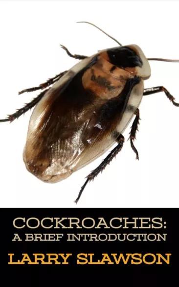 Cockroaches (e-könyv)