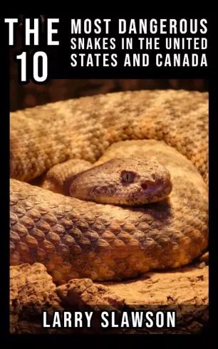 The 10 Most Dangerous Snakes in the United States and Canada (e-könyv)