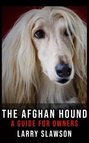 The Afghan Hound (e-könyv)