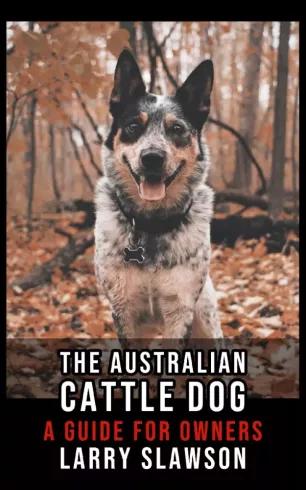 The Australian Cattle Dog (e-könyv)