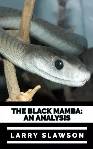 The Black Mamba (e-könyv)