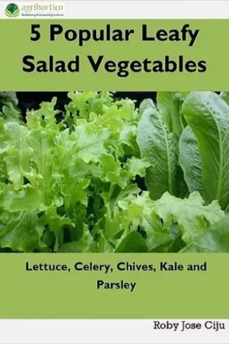 5 Popular Leafy Salad Vegetables (e-könyv)