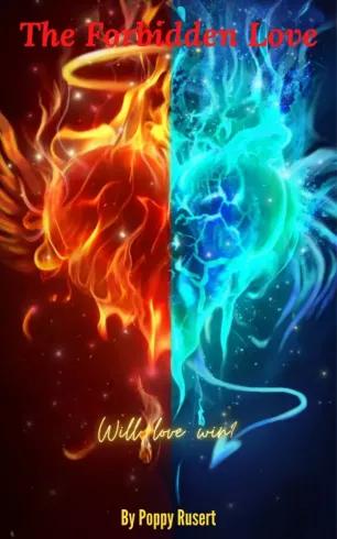 The Forbidden Love (e-könyv)