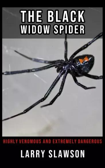 The Black Widow Spider (e-könyv)