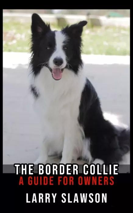The Border Collie (e-könyv)
