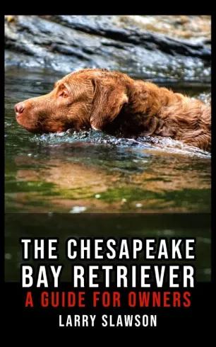 The Chesapeake Bay Retriever (e-könyv)