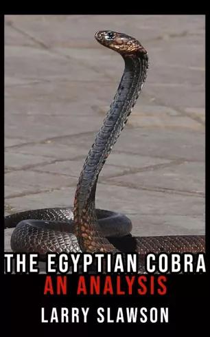 The Egyptian Cobra (e-könyv)