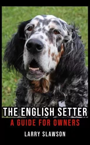 The English Setter (e-könyv)