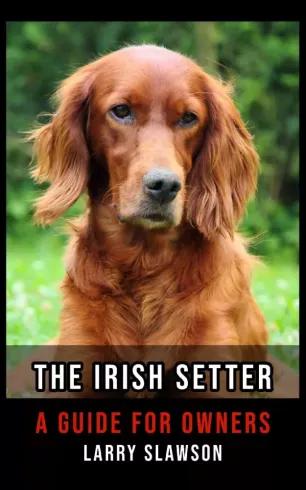 The Irish Setter (e-könyv)